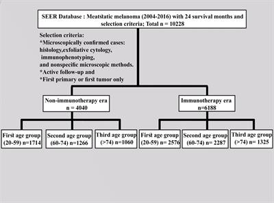 Age-Based Disparities in Metastatic Melanoma Patients Treated in the Immune Checkpoint Inhibitors (ICI) Versus Non-ICI Era: A Population-Based Study